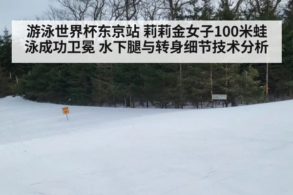 游泳世界杯东京站 莉莉金女子100米蛙泳成功卫冕 水下腿与转身细节技术分析
